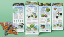 SMAB-Réalisation de 4 totems Natura 2000