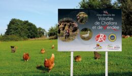 Vendée Qualité - Panneau extérieur grand format section volailles Label Rouge et IGP