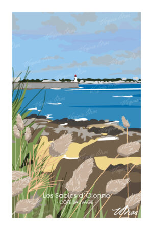 Carte postale et affiche les sables d'Olonne - 06-Cote sauvage