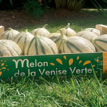 Colis Melon de la Venise Verte