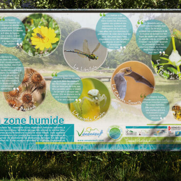 Venansault - Création du panneau "La zone humide" avec les écoles