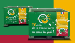 Palox melon de la venise verte